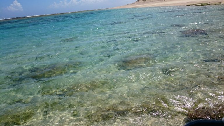 畦プリンスビーチ海浜公園 奄美群島国立公園にも指定された美しいビーチ とくのらんど